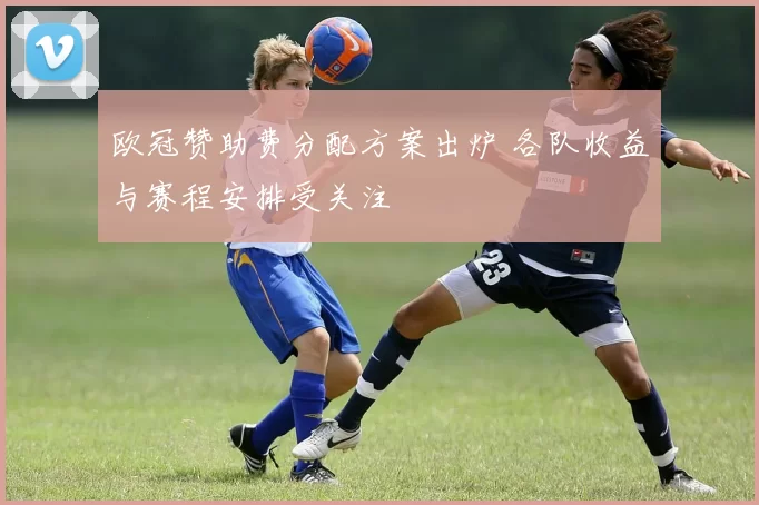 欧冠赞助费分配方案出炉 各队收益与赛程安排受关注
