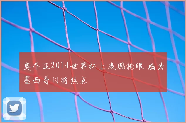 奥乔亚2014世界杯上表现抢眼 成为墨西哥门将焦点