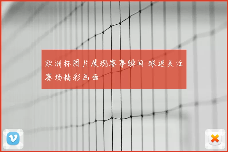 欧洲杯图片展现赛事瞬间 球迷关注赛场精彩画面