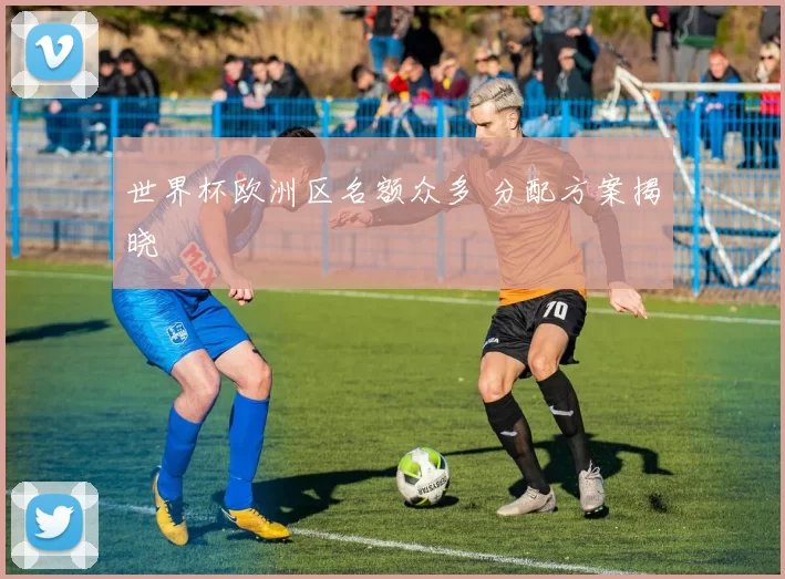 世界杯欧洲区名额众多 分配方案揭晓