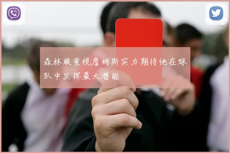 森林狼重视詹姆斯实力期待他在球队中发挥最大潜能