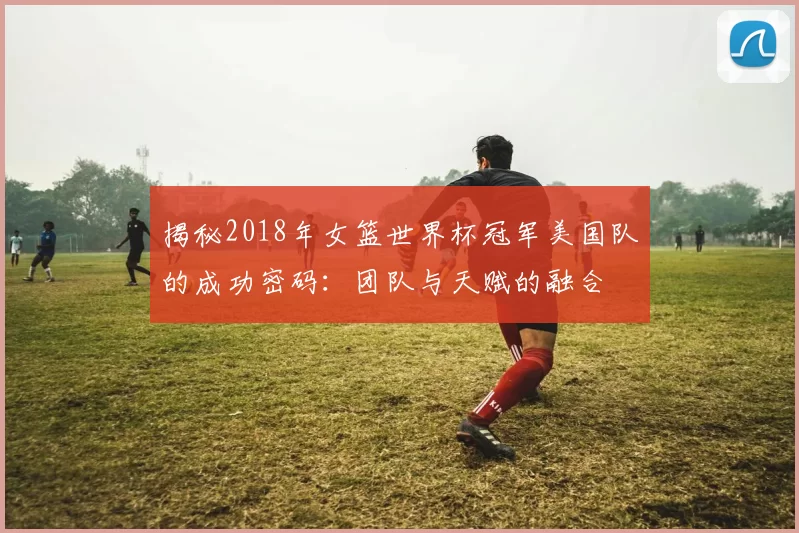 揭秘2018年女篮世界杯冠军美国队的成功密码：团队与天赋的融合