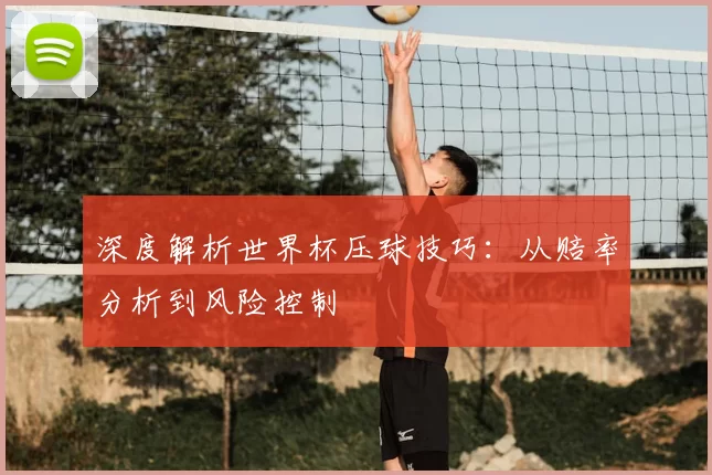 深度解析世界杯压球技巧：从赔率分析到风险控制