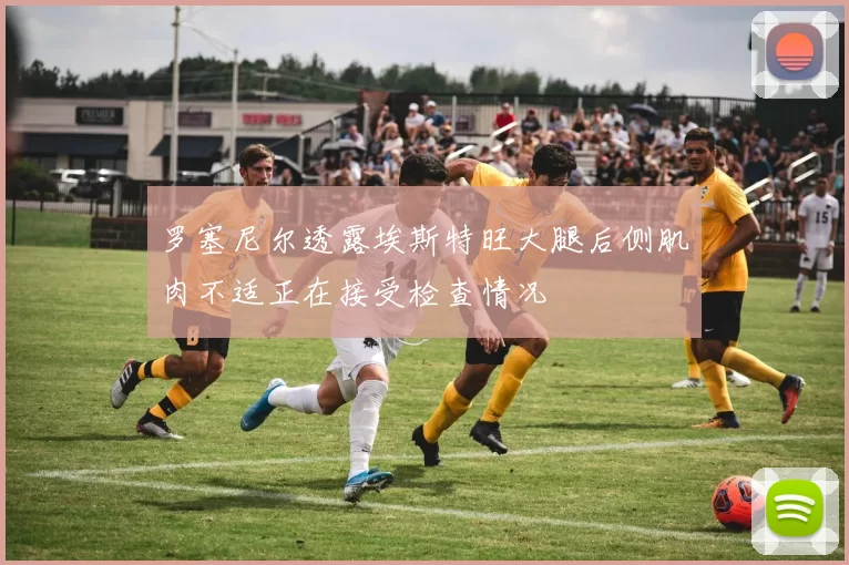 罗塞尼尔透露埃斯特旺大腿后侧肌肉不适正在接受检查情况