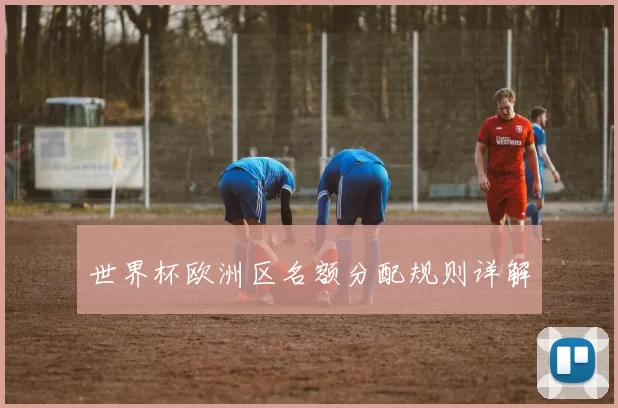 世界杯欧洲区名额分配规则详解