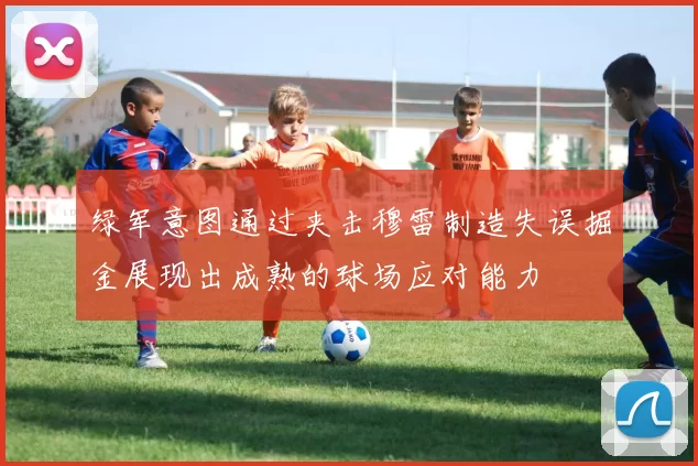 绿军意图通过夹击穆雷制造失误掘金展现出成熟的球场应对能力