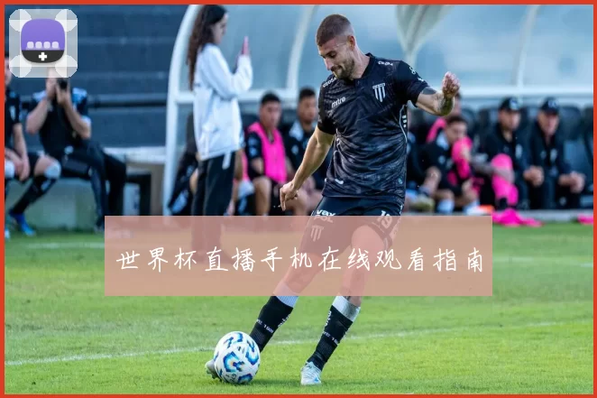 世界杯直播手机在线观看指南