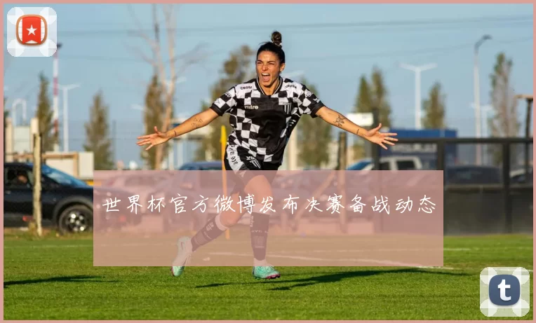 世界杯官方微博发布决赛备战动态
