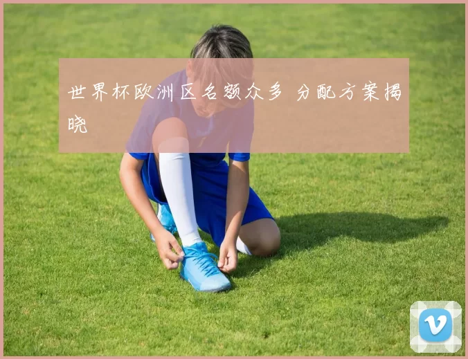 世界杯欧洲区名额众多 分配方案揭晓