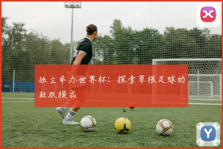 独立举办世界杯：探索草根足球的狂欢模式