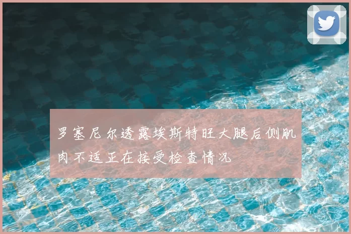 罗塞尼尔透露埃斯特旺大腿后侧肌肉不适正在接受检查情况