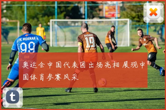 奥运会中国代表团出场亮相 展现中国体育参赛风采