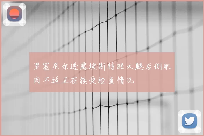罗塞尼尔透露埃斯特旺大腿后侧肌肉不适正在接受检查情况