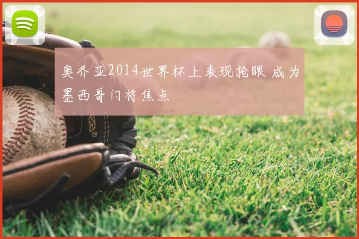 奥乔亚2014世界杯上表现抢眼 成为墨西哥门将焦点