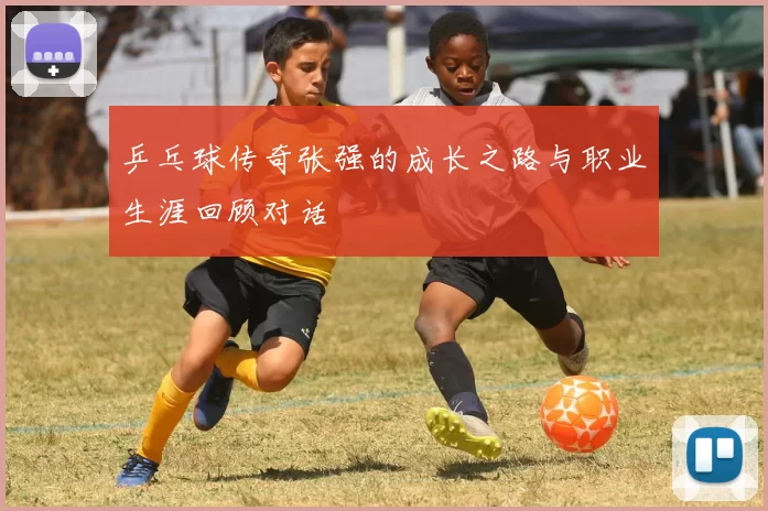 乒乓球传奇张强的成长之路与职业生涯回顾对话